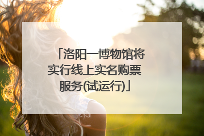 洛阳一博物馆将实行线上实名购票服务(试运行)
