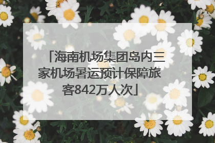 海南机场集团岛内三家机场暑运预计保障旅客842万人次