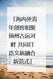 海内外青年创客相聚扬州古运河畔 共同打造文旅融合新范式