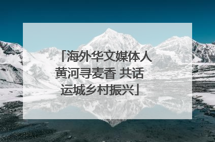 海外华文媒体人黄河寻麦香 共话运城乡村振兴
