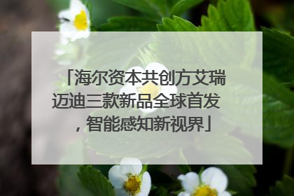 海尔资本共创方艾瑞迈迪三款新品全球首发，智能感知新视界