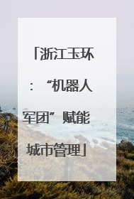 浙江玉环：“机器人军团”赋能城市管理