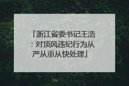 浙江省委书记王浩：对顶风违纪行为从严从重从快处理