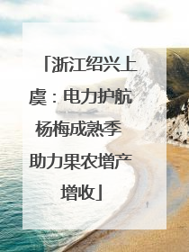 浙江绍兴上虞：电力护航杨梅成熟季 助力果农增产增收