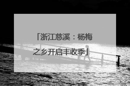 浙江慈溪：杨梅之乡开启丰收季