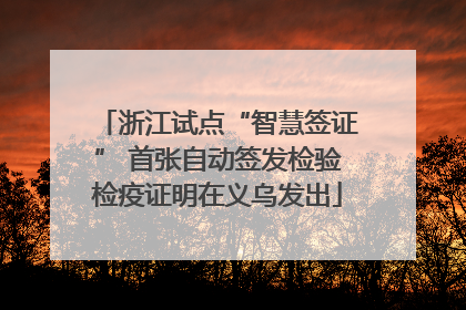 浙江试点“智慧签证” 首张自动签发检验检疫证明在义乌发出