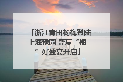 浙江青田杨梅登陆上海豫园 盛夏“梅”好盛宴开启