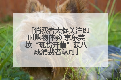 消费者大促关注即时购物体验 京东美妆“现货开售”获八成消费者认可