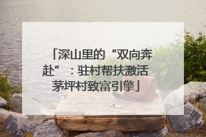 深山里的“双向奔赴”：驻村帮扶激活茅坪村致富引擎