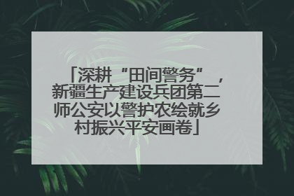 深耕“田间警务”，新疆生产建设兵团第二师公安以警护农绘就乡村振兴平安画卷