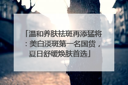温和养肤祛斑再添猛将：美白淡斑第一名国货，夏日舒缓焕肤首选