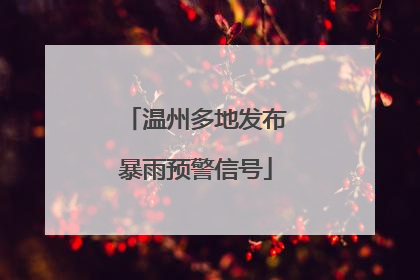 温州多地发布暴雨预警信号