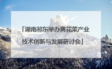 湖南祁东举办黄花菜产业技术创新与发展研讨会