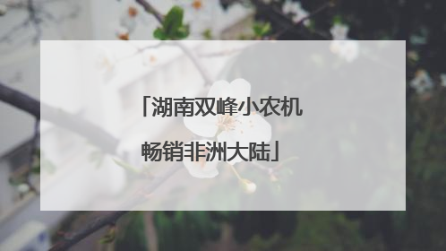 湖南双峰小农机畅销非洲大陆