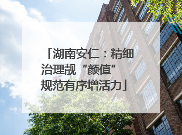 湖南安仁：精细治理靓“颜值” 规范有序增活力