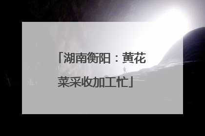 湖南衡阳：黄花菜采收加工忙