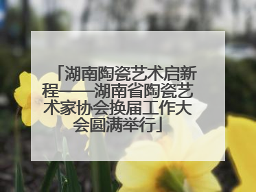 湖南陶瓷艺术启新程——湖南省陶瓷艺术家协会换届工作大会圆满举行