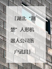 湖北“荆楚”人形机器人公司落户武昌
