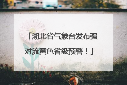 湖北省气象台发布强对流黄色省级预警！