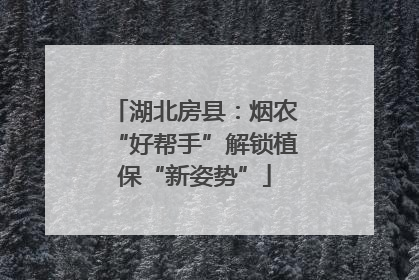 湖北房县：烟农“好帮手”解锁植保“新姿势”