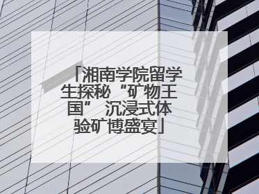 湘南学院留学生探秘“矿物王国” 沉浸式体验矿博盛宴