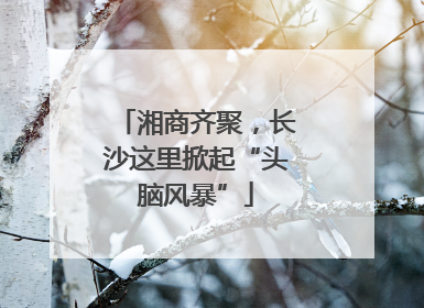 湘商齐聚，长沙这里掀起“头脑风暴”