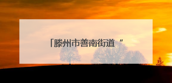 滕州市善南街道“匠心聚 邂逅非遗”非遗活字印刷体验活动走进清华园小学