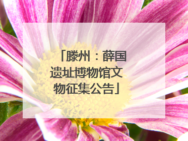 滕州：薛国遗址博物馆文物征集公告
