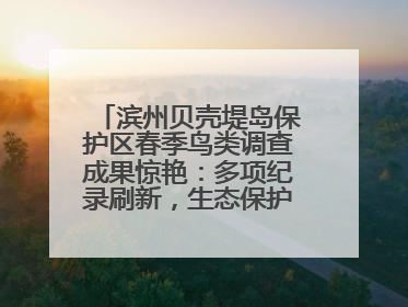 滨州贝壳堤岛保护区春季鸟类调查成果惊艳：多项纪录刷新，生态保护成效显著