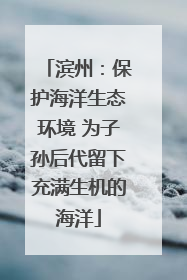 滨州：保护海洋生态环境 为子孙后代留下充满生机的海洋