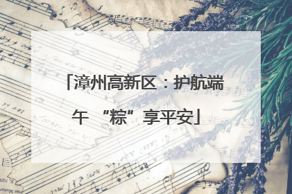 漳州高新区：护航端午 “粽”享平安