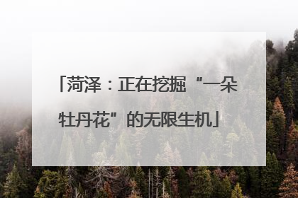 菏泽：正在挖掘“一朵牡丹花”的无限生机