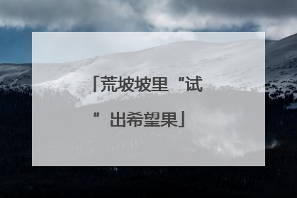 荒坡坡里“试”出希望果