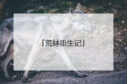 荒林重生记