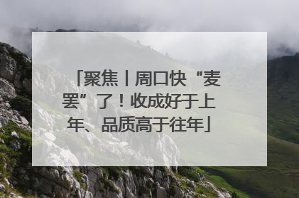 聚焦丨周口快“麦罢”了！收成好于上年、品质高于往年