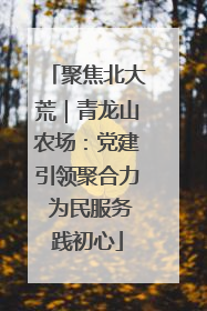 聚焦北大荒｜青龙山农场：党建引领聚合力 为民服务践初心