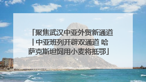 聚焦武汉中亚外贸新通道│中亚班列开辟双通道 哈萨克斯坦饲用小麦将抵鄂