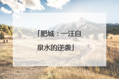 肥城：一汪自泉水的逆袭