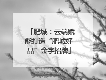 肥城：云端赋能打造“肥城好品”金字招牌