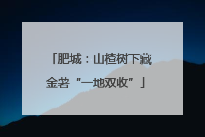 肥城：山楂树下藏金薯“一地双收”