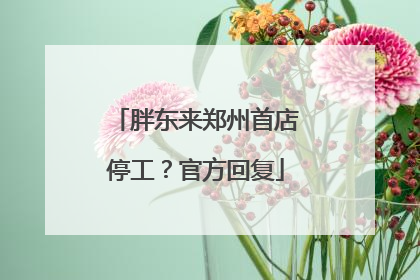 胖东来郑州首店停工？官方回复