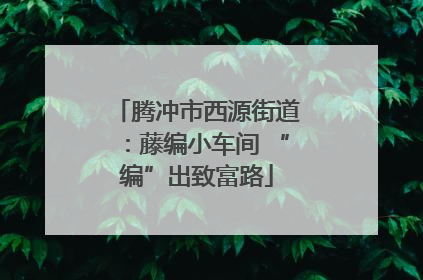 腾冲市西源街道：藤编小车间 “编”出致富路