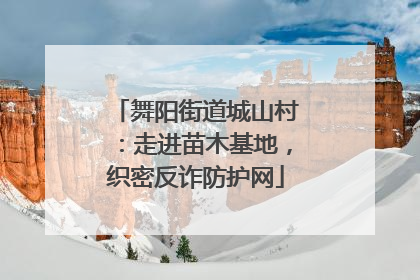 舞阳街道城山村：走进苗木基地，织密反诈防护网