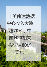 英伟达数据中心收入大涨超70%，中国H20相关损失达80亿美元