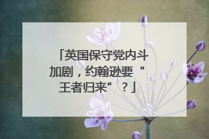 英国保守党内斗加剧，约翰逊要“王者归来”？