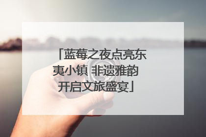 蓝莓之夜点亮东夷小镇 非遗雅韵开启文旅盛宴