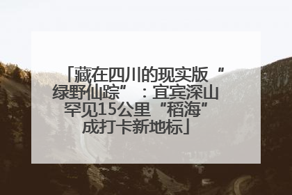 藏在四川的现实版“绿野仙踪”：宜宾深山罕见15公里“稻海”成打卡新地标
