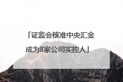 证监会核准中央汇金成为8家公司实控人