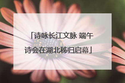 诗咏长江文脉 端午诗会在湖北秭归启幕