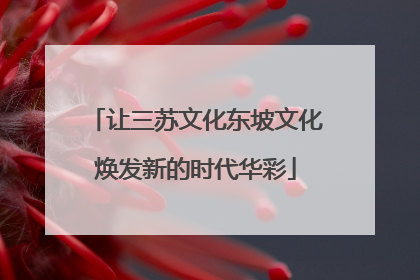 让三苏文化东坡文化焕发新的时代华彩